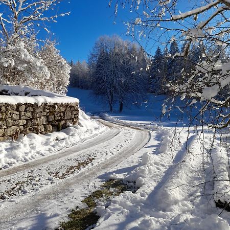 Bed and Breakfast Ch'Tit Jura Les Moussieres Екстер'єр фото